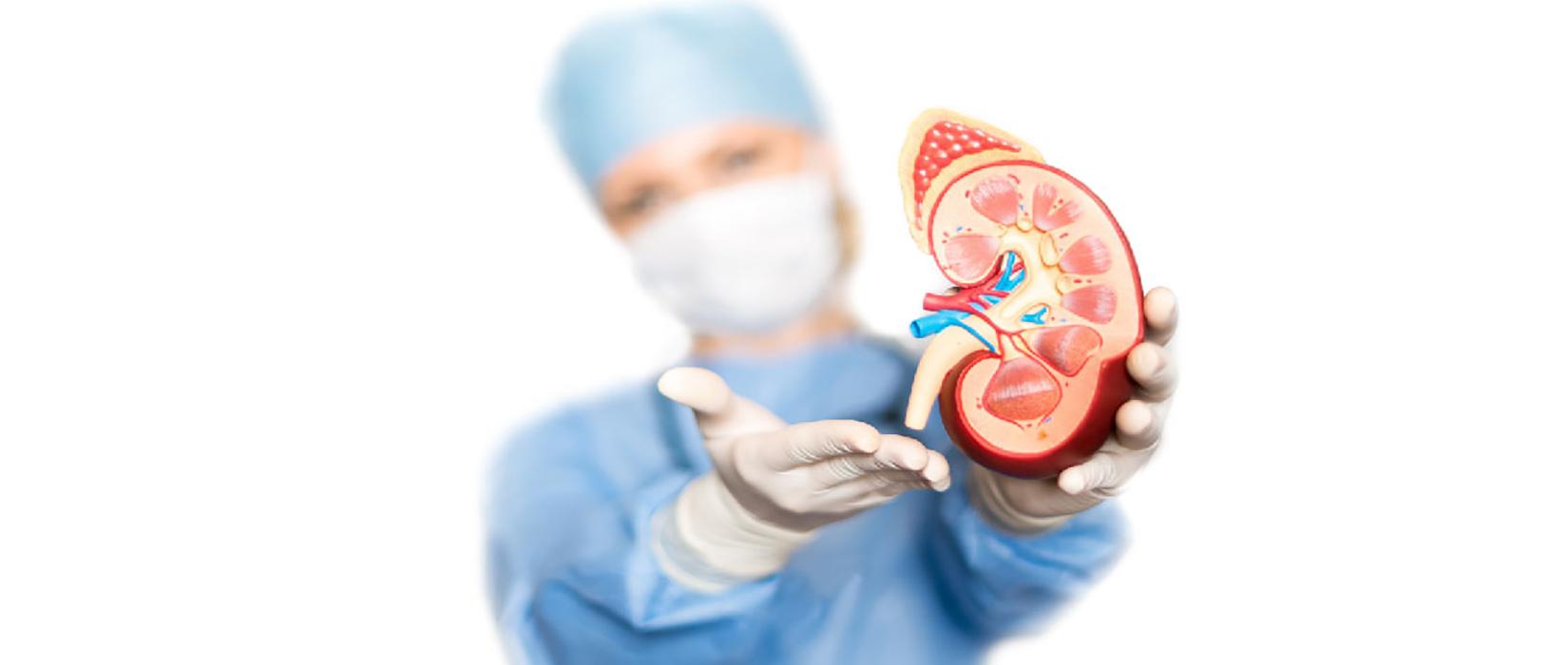 Advantages and Disadvantages of a Live Kidney Transplant