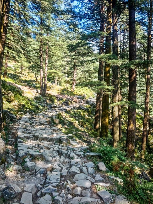 Kheerganga Trek