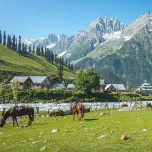 4 Nights / 5 Days Kashmir Tour Package